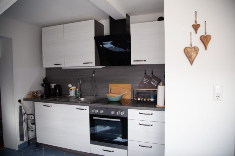 Küchenzeile - Ferienwohnung Augustfehn
